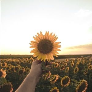 Meet your Posher, Tara